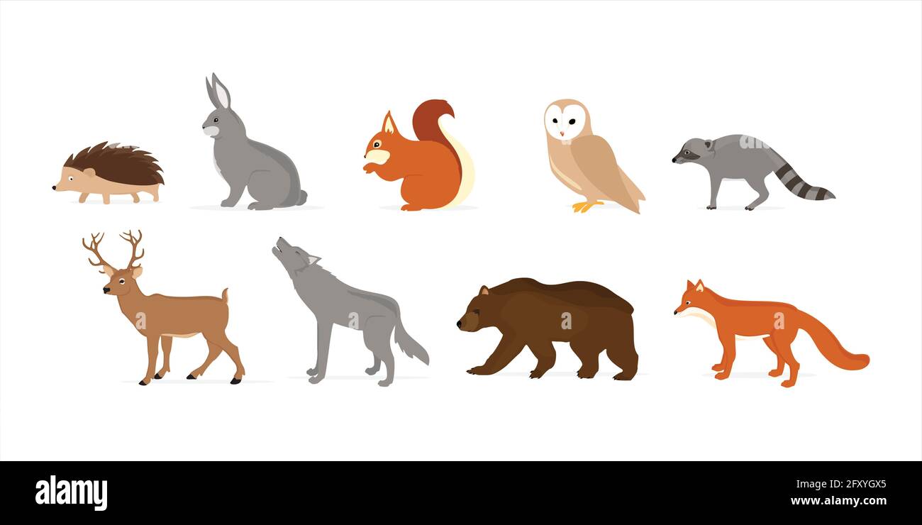 Waldwaldtiere Vogelsammlung einschließlich Hirsch, Bär, Eule, Eichhörnchen, Igel, Kaninchen, Fuchs und Wolf. Stock Vektor
