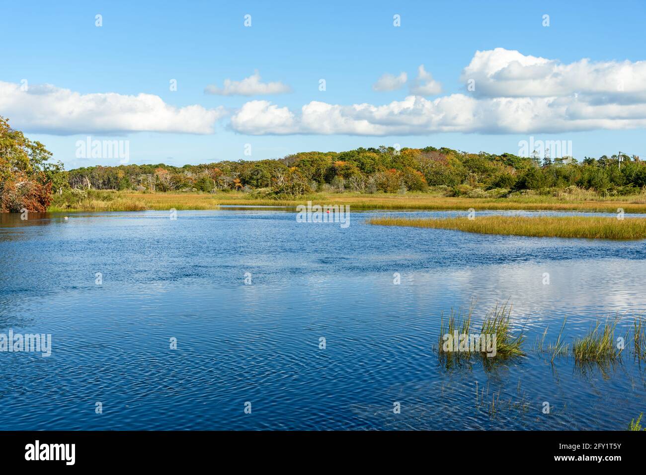 Teich in umgeben von deiduos Wäldern unter blauem Himmel ein Sonniger Herbsttag Stockfoto