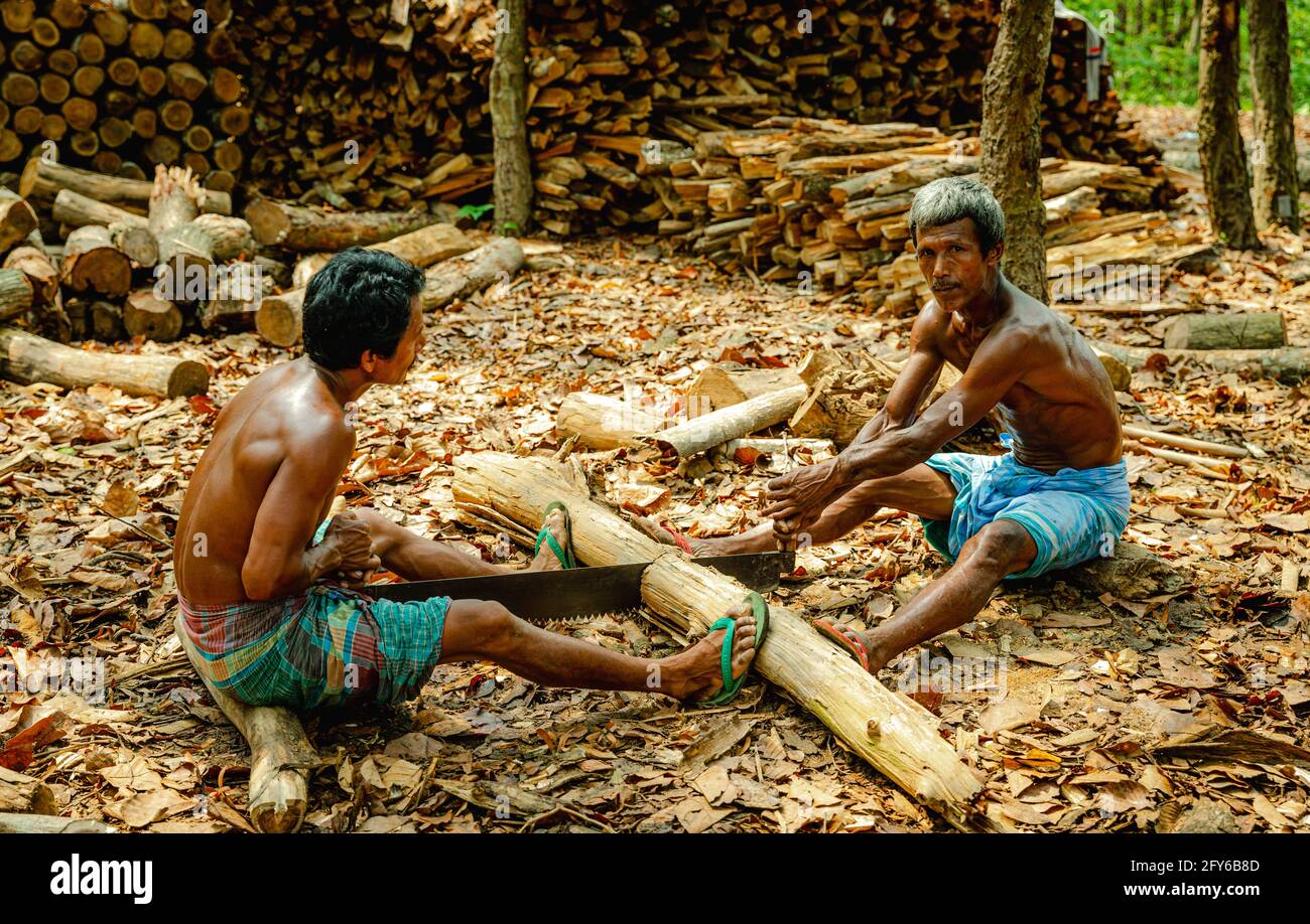 Ghajini ist ein berühmter grüner Wald im Stadtteil Sherpur Von Bangladesch, wo künstliche Picknickplätze geschaffen werden Bäume in der na abschneiden Stockfoto