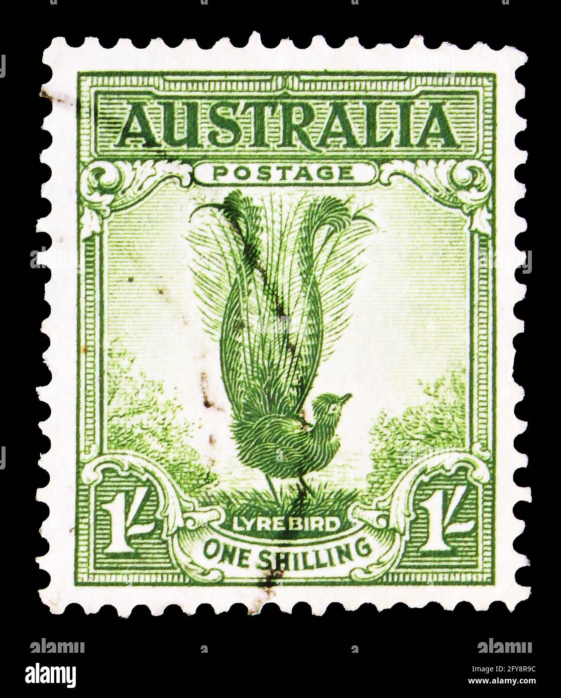 MOSKAU, RUSSLAND - 23. SEPTEMBER 2019: Die in Australien gedruckte Briefmarke zeigt Superb Lyrebird (Menura novaehollandiae), Lyre-Serie, um 1932 Stockfoto