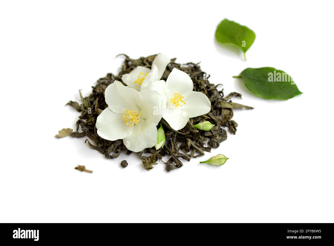 Grüner Tee mit Jasminblüten auf weißem, isoliertem Hintergrund, Nahaufnahme, Draufsicht Stockfoto