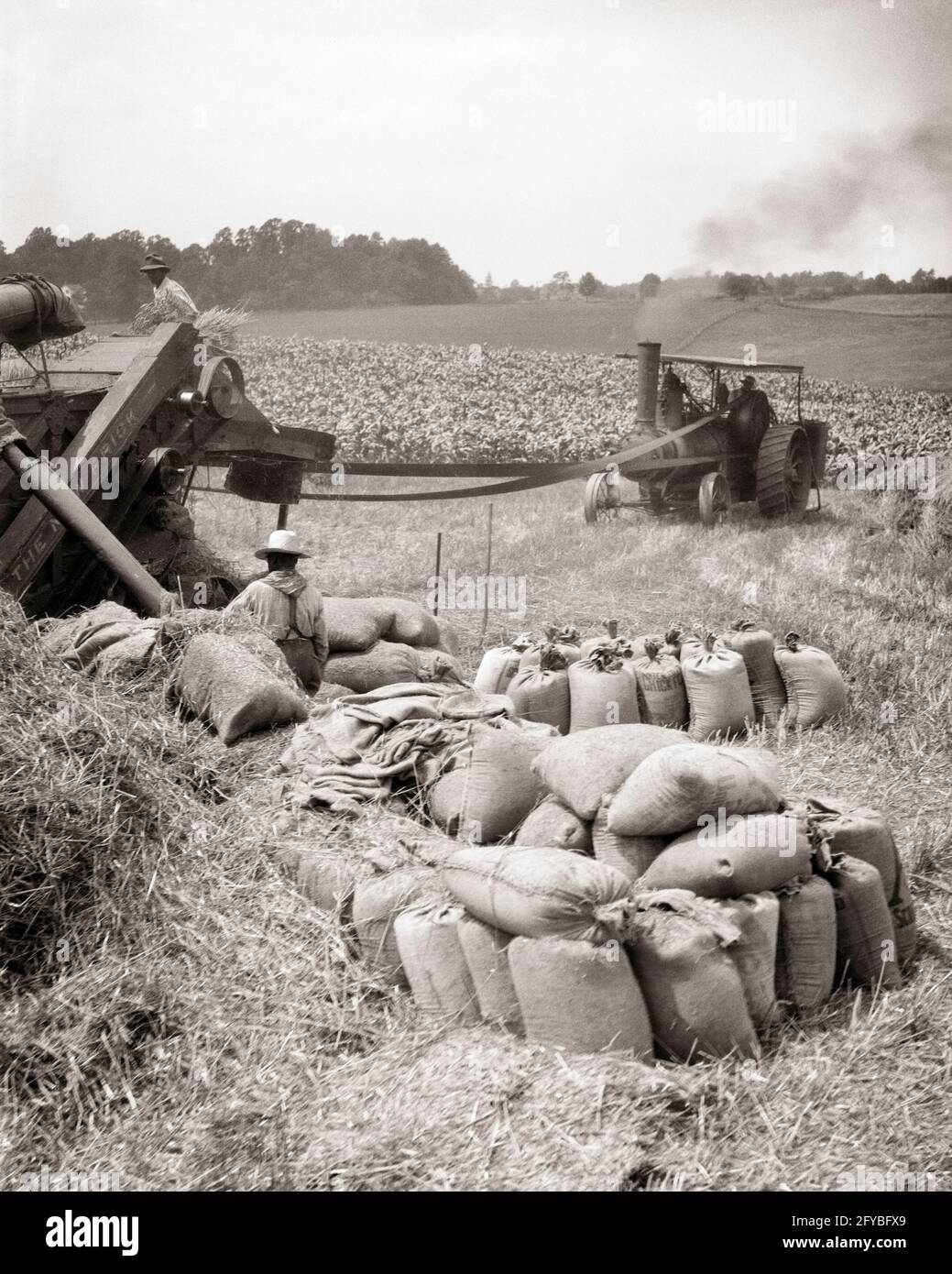 1920er-Jahre 1940er-LANDARBEITER MIT TRAKTOR DRESCHEN UND ABSACKEN ...