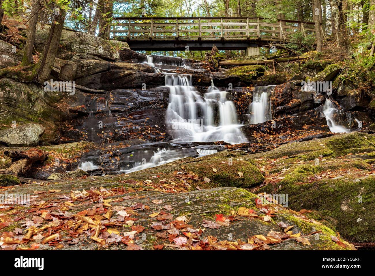Potts Wasserfall im Herbst, Nord-Ontario Stockfoto
