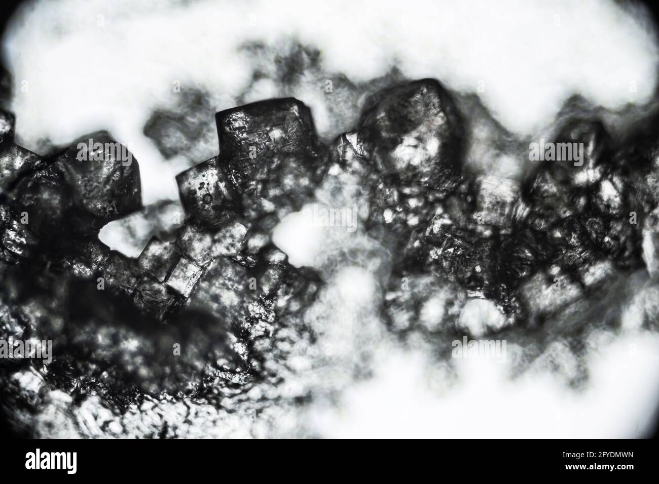 Kristallzucker aus der Nähe unter dem Lichtmikroskop, 40-fache Vergrößerung, Objektiv 4 Stockfoto