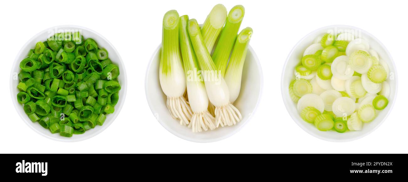 Frische Frühlingszwiebeln und geschnittene Frühlingszwiebeln, in weißen Schalen. Grüne Zwiebeln, auch Frühlingszwiebeln oder Sibies genannt, ein Gemüse mit mildem Zwiebelgeschmack. Stockfoto