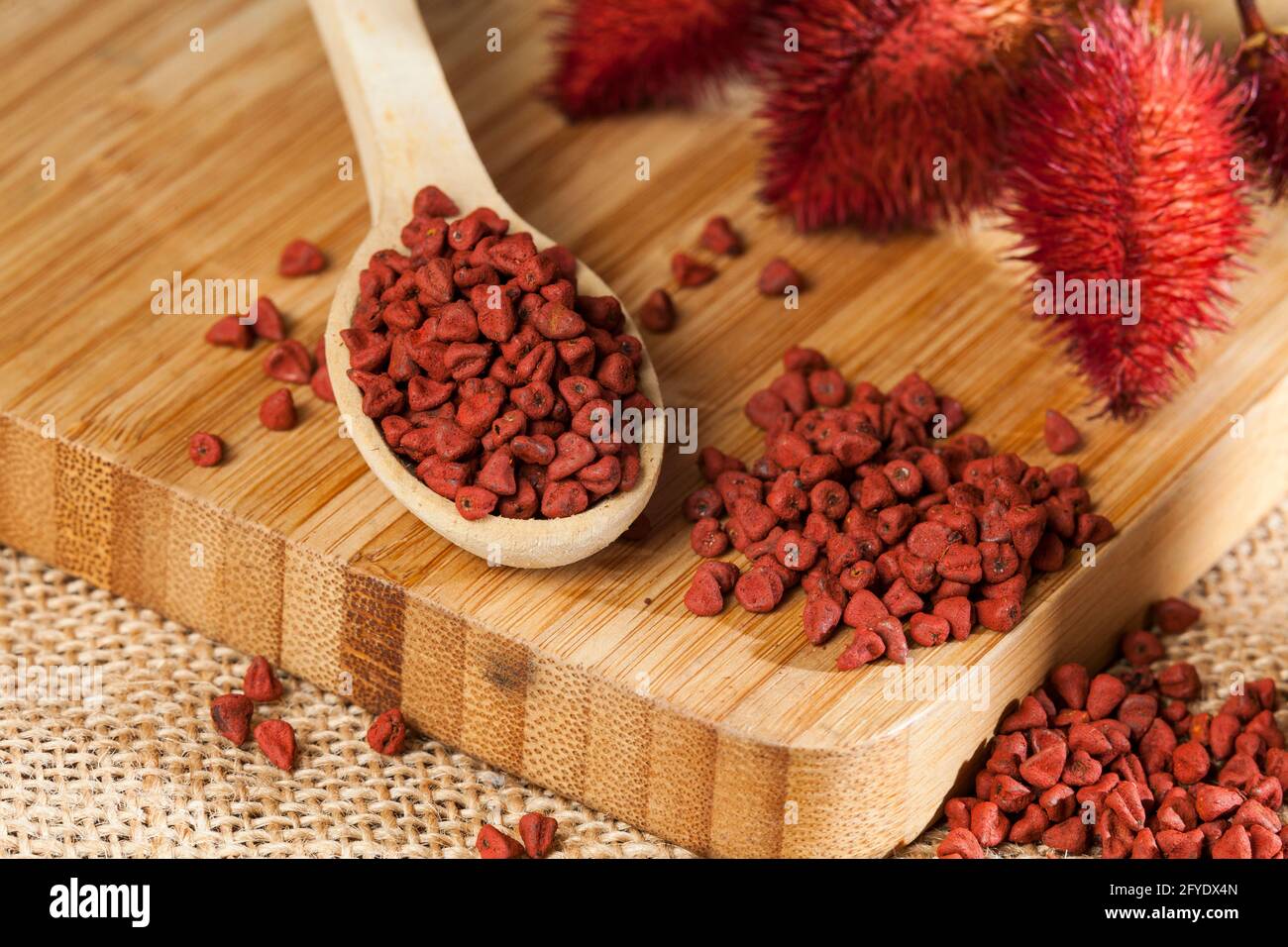 Bixa Orellana - Bio-Achiote; ist eine Gewürz-und Lebensmittelfarbe. Stockfoto