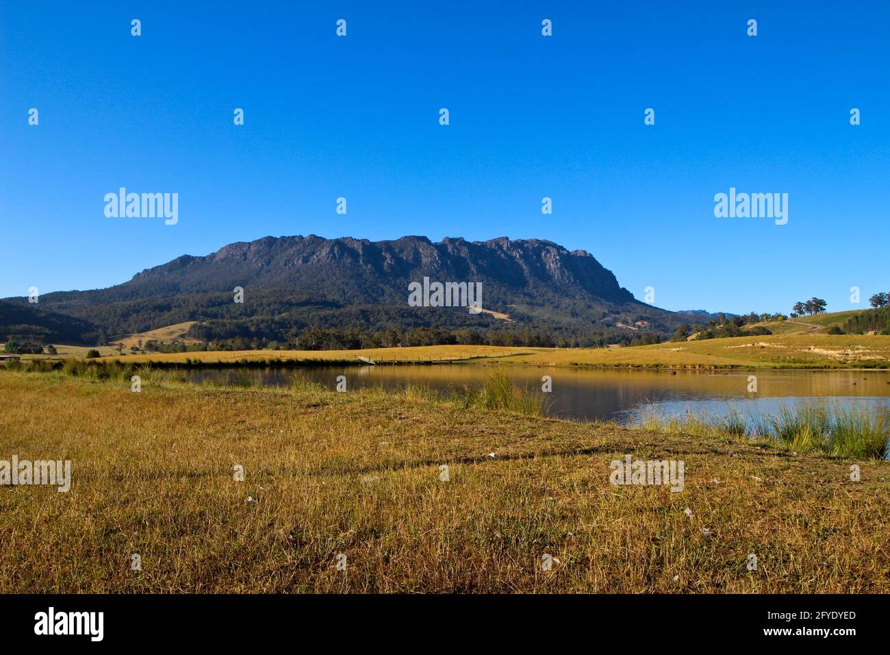 Mount Roland, Tasmanien Stockfoto