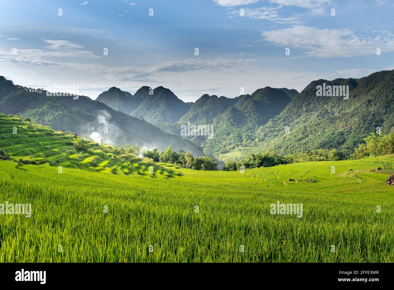 Panoramablick auf den schönen grünen Terrassen von Pu-Luong Kommune, Provinz Thanh Hoa, Vietnam Stockfoto