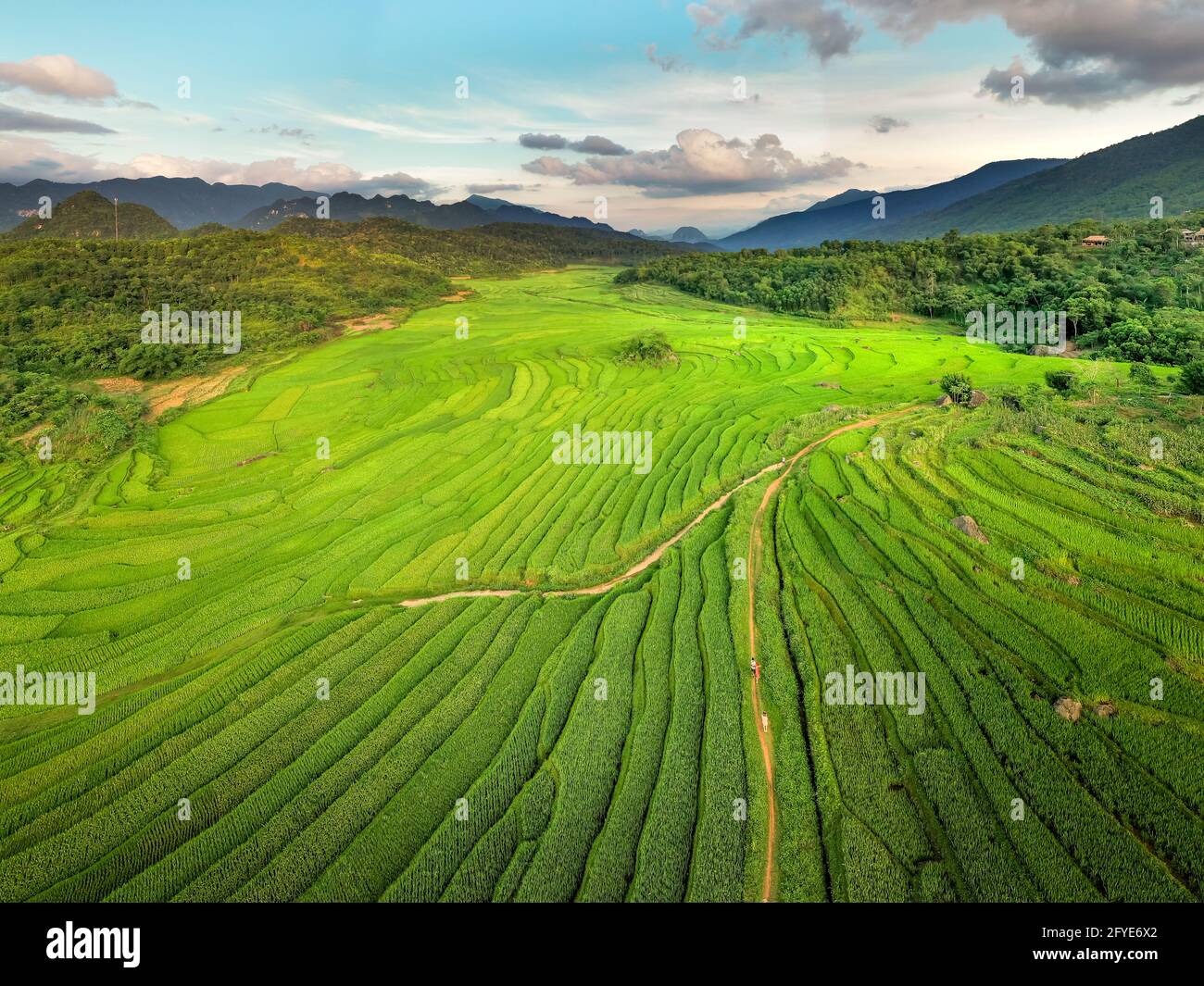 Panoramablick auf den schönen grünen Terrassen von Pu-Luong Kommune, Provinz Thanh Hoa, Vietnam Stockfoto