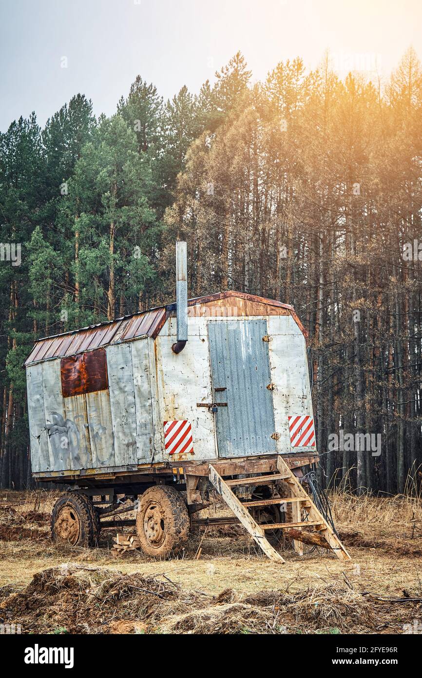 Altes rostetes Metallhalbleiderhaus mit Kamin und Holz Treppen stehen auf dem Feld von hohen Pinien unter Sonnenlicht Am Herbsttag Stockfoto