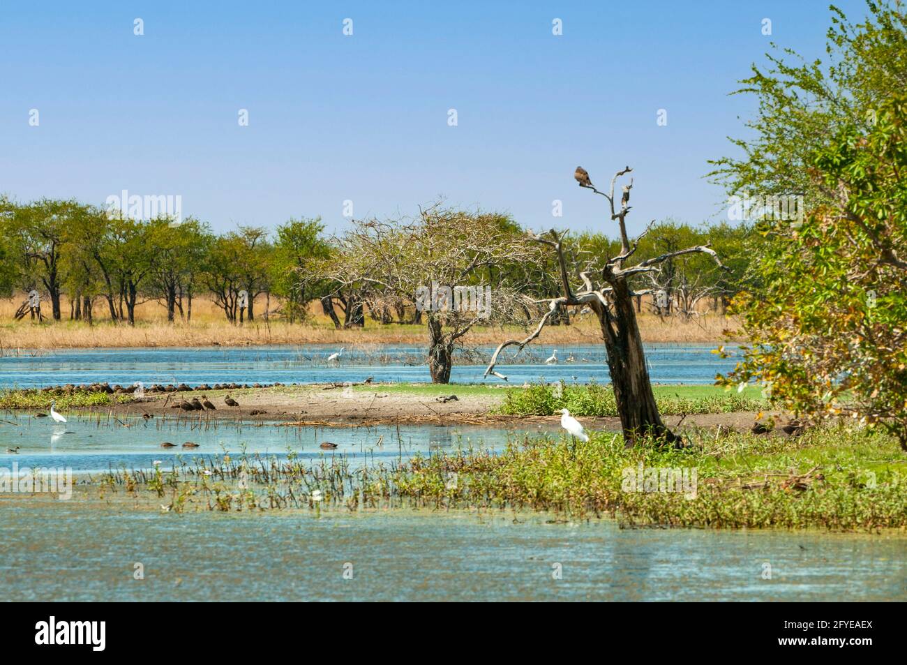 Marlgu Billabong in der Nähe von Wyndham, WA, Australien Stockfoto