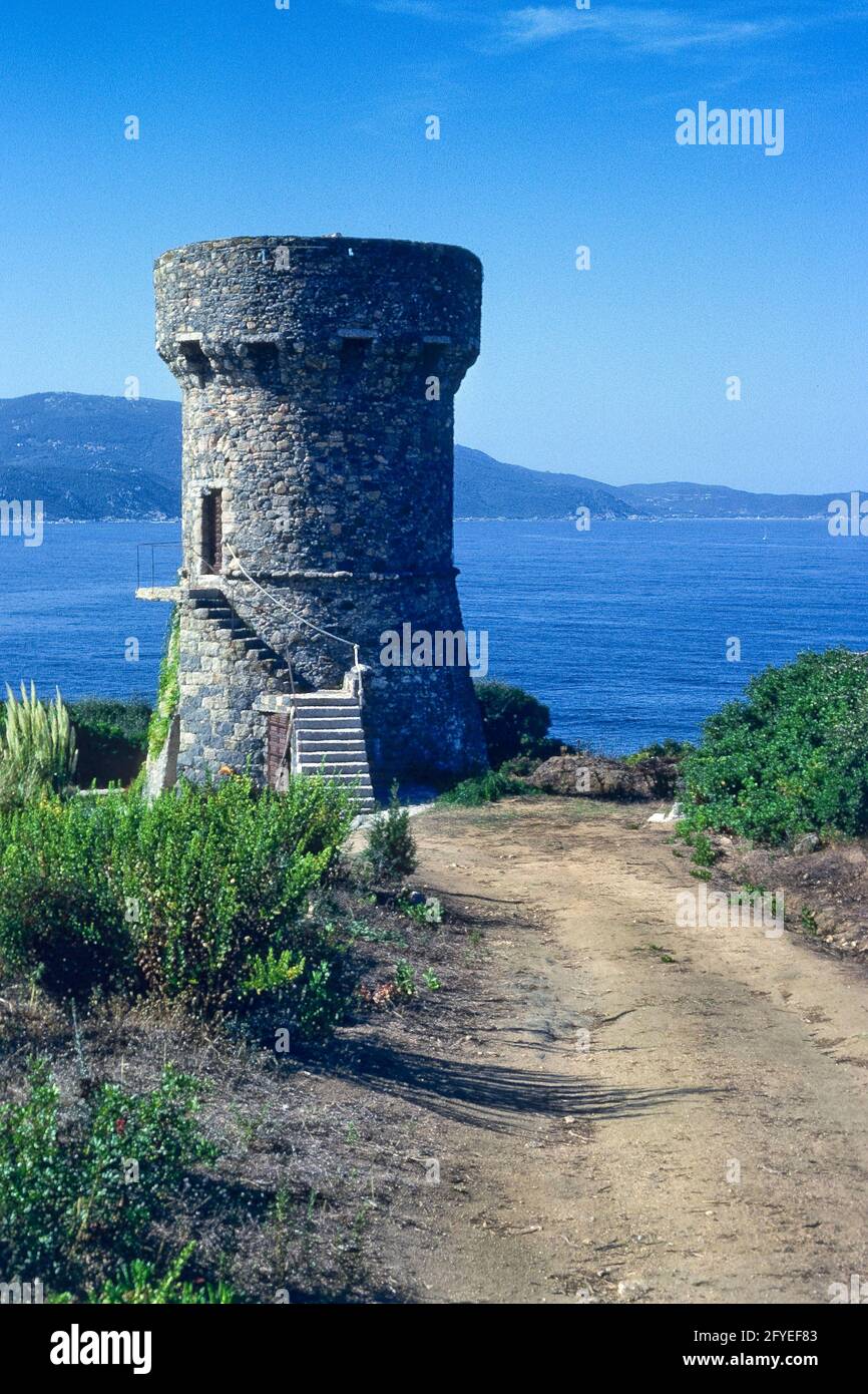 FRANKREICH. CORSE-DU-SUD (2A) TOUR DE PROPRIANO Stockfoto