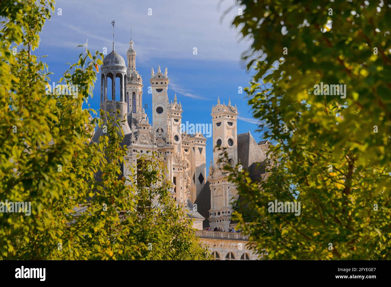 FRANKREICH. LOIR-ET-CHER(41) DIE BURG CHAMBORD, DAS WAHRZEICHEN DER FRANZÖSISCHEN RENAISSANCE AUF DER GANZEN WELT, IST EIN UNESCO-WELTKULTURERBE.JUWEL DER ARCHITEKTUR Stockfoto