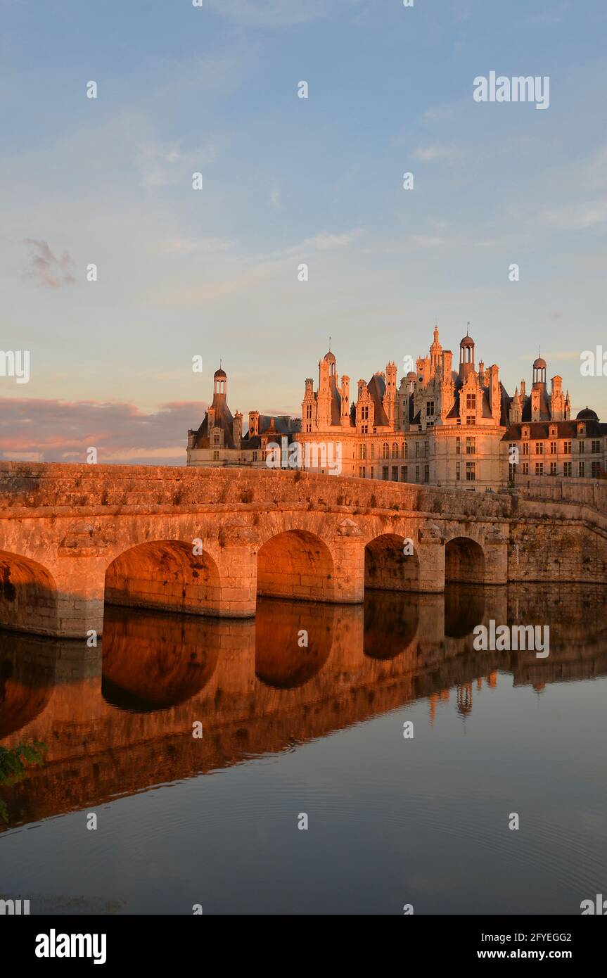 FRANKREICH. LOIR-ET-CHER (41) DIE BURG CHAMBORD, DAS WAHRZEICHEN DER FRANZÖSISCHEN RENAISSANCE AUF DER GANZEN WELT, IST EIN UNESCO-WELTKULTURERBE. EIN JUWEL DER ARCHITEKTUR Stockfoto