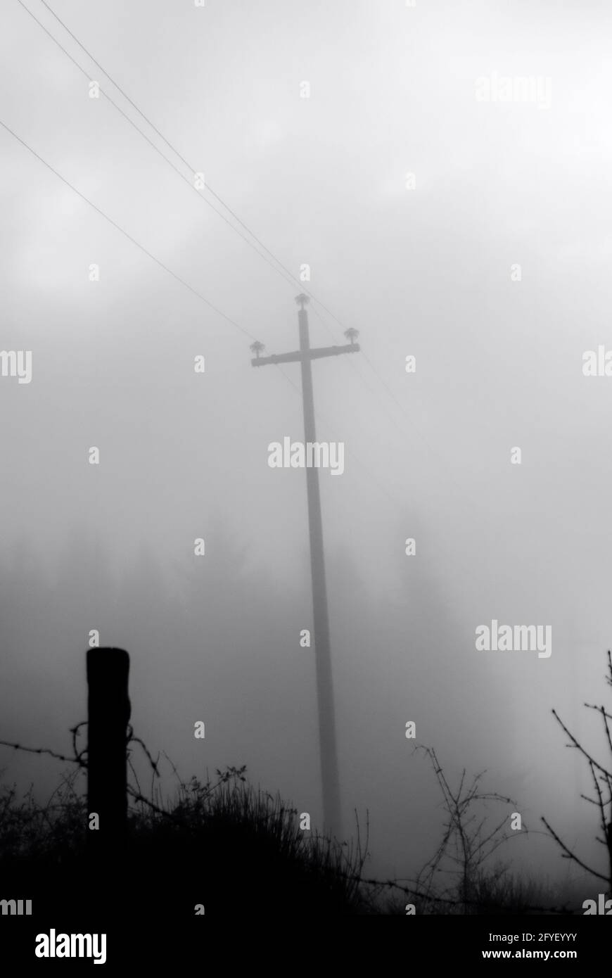 Strommast und Bäume, die durch den Nebel versteckt sind. Mystische Kulisse. Stockfoto