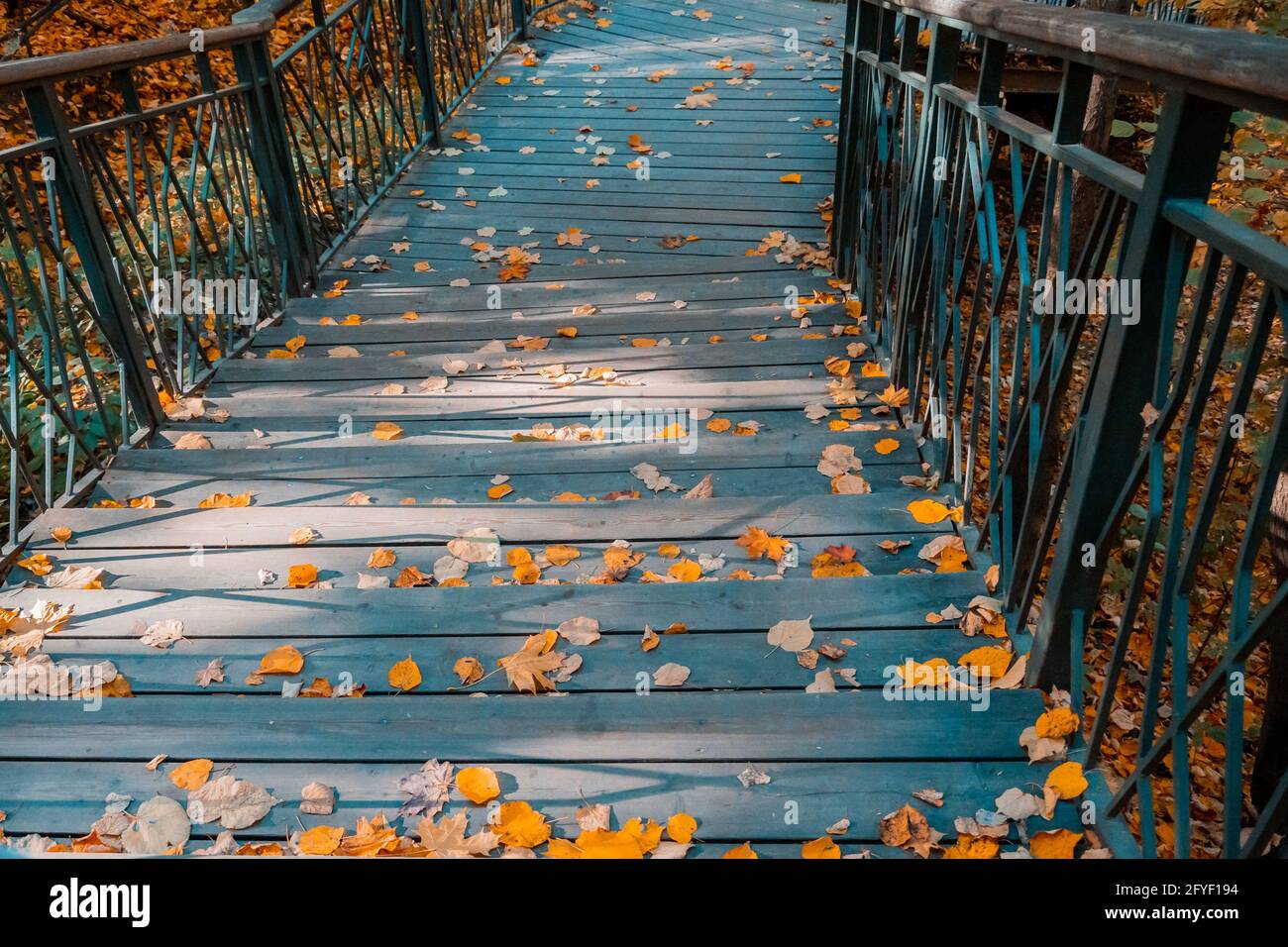 Treppenabstieg im herbstlichen Stadtpark. Eine breite Holztreppe mit Stufen, die mit gefallenen gelben Herbstblättern bedeckt sind Stockfoto