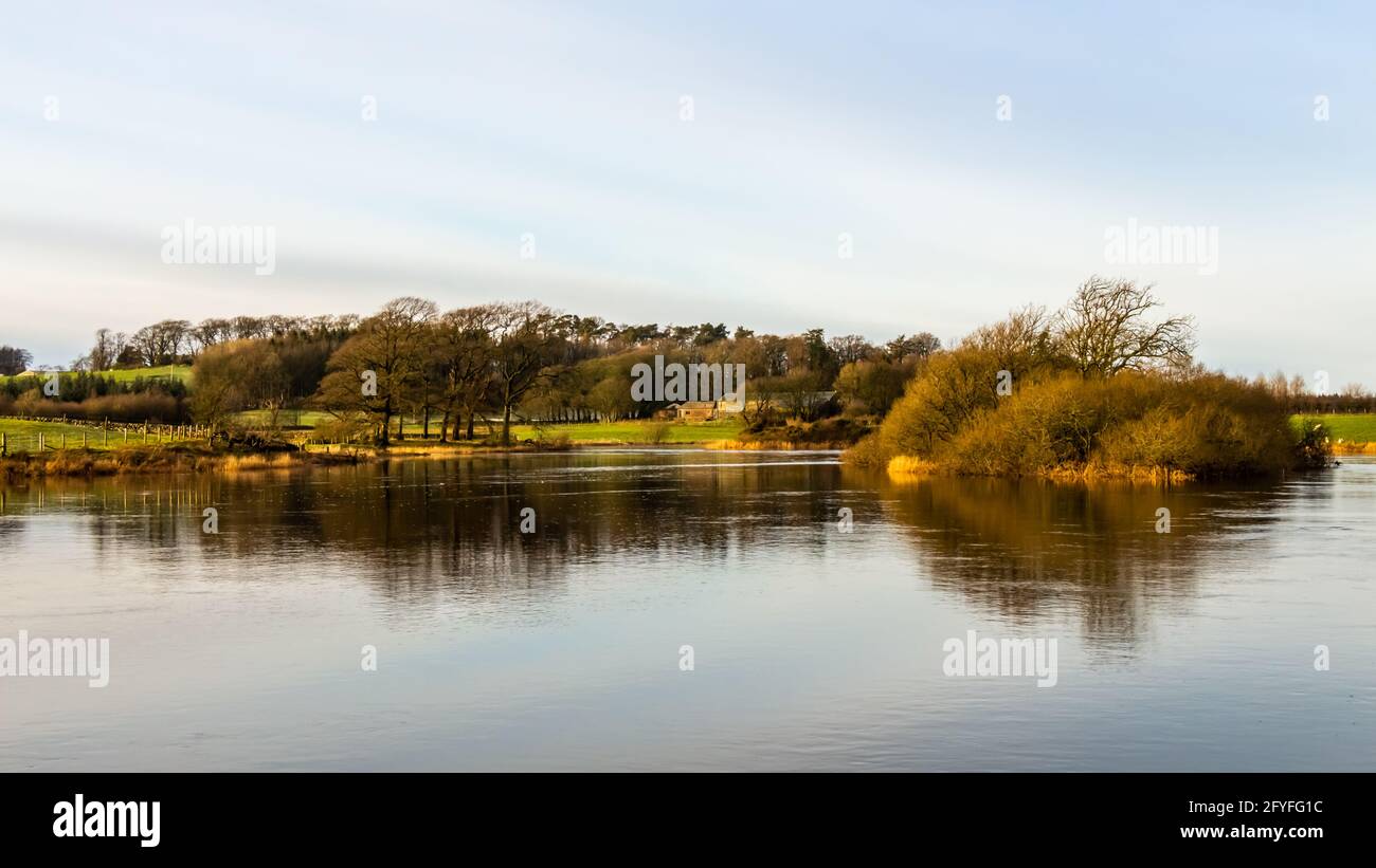 Reflexion über den Fluss Dee von Lamb Island auf Threave Estate, an einem sonnigen Wintertag, Dumfries und Galloway, Schottland Stockfoto