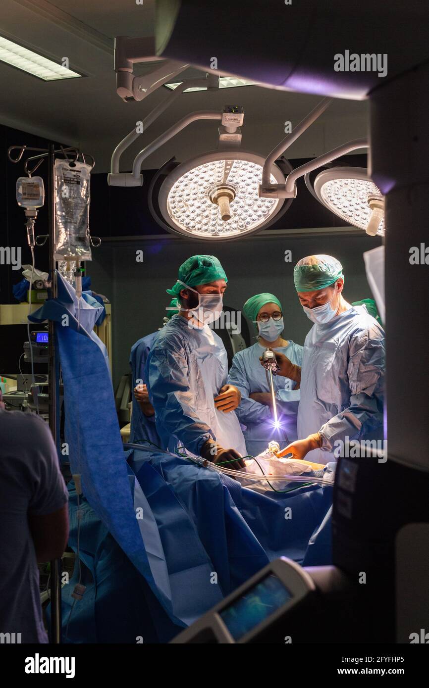 Bildgeführte robotische konservative Nierenchirurgie unterstützt durch 3D-Modellierung, Diese 3D-Modellierung der Niere führt die chirurgischen Schritte live, EINE neue Techique Stockfoto