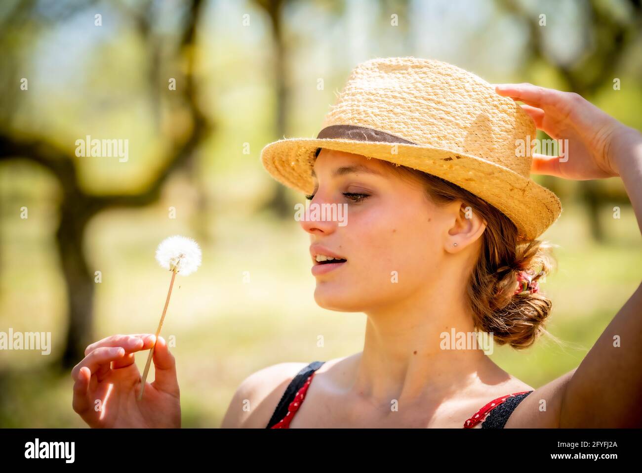 Frau bläst auf einer Blume Löwenzahn. Stockfoto