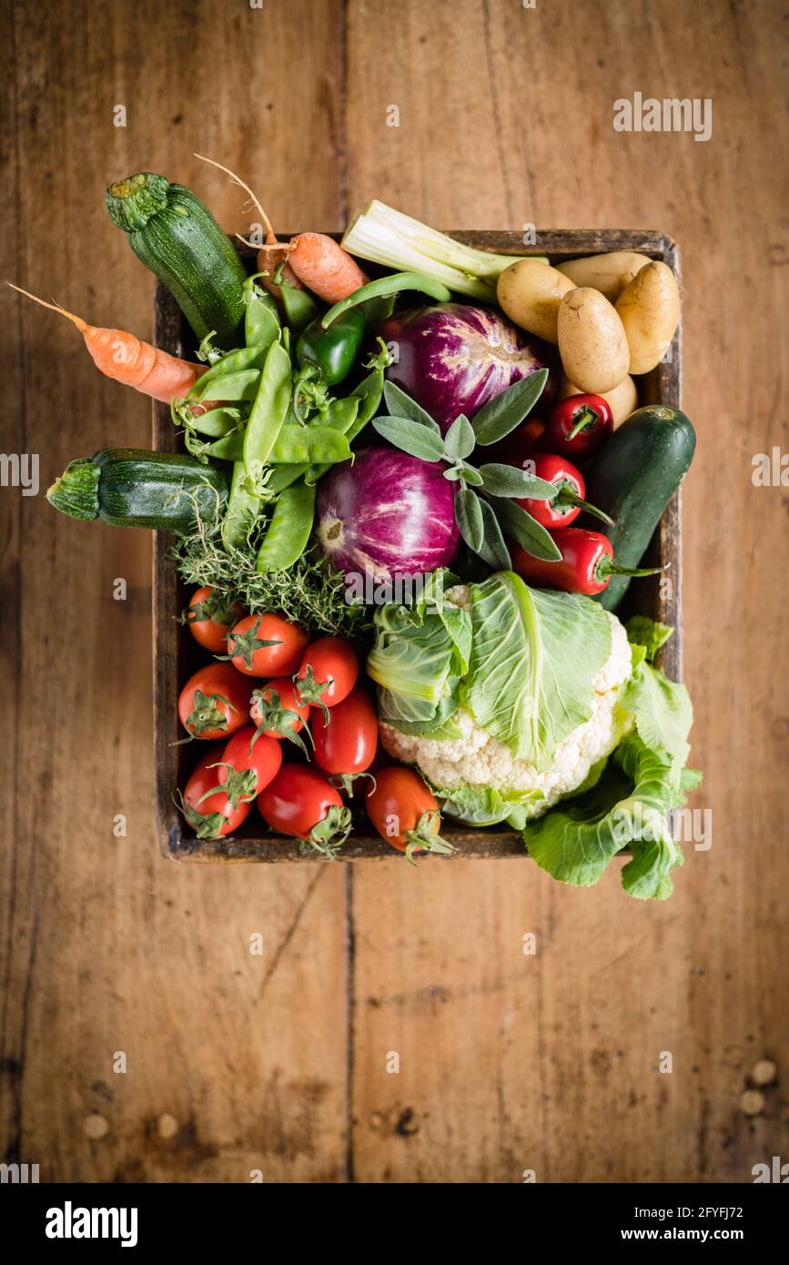 Verschiedene Gemüse. Stockfoto