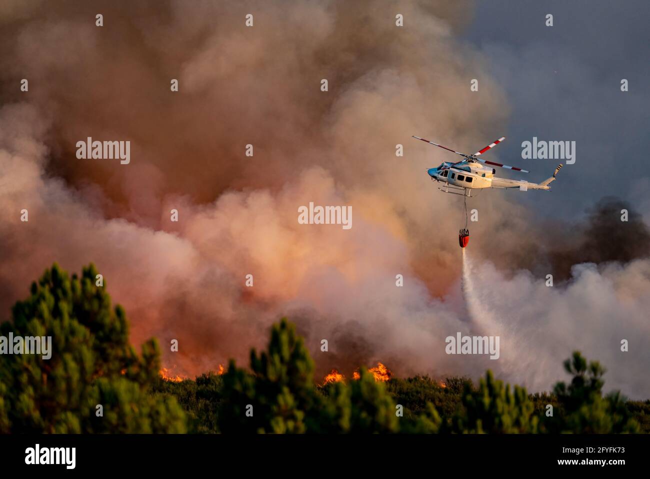 Spektakulärer Hubschrauber mit bambi-Eimer über dem Feuer Stockfoto