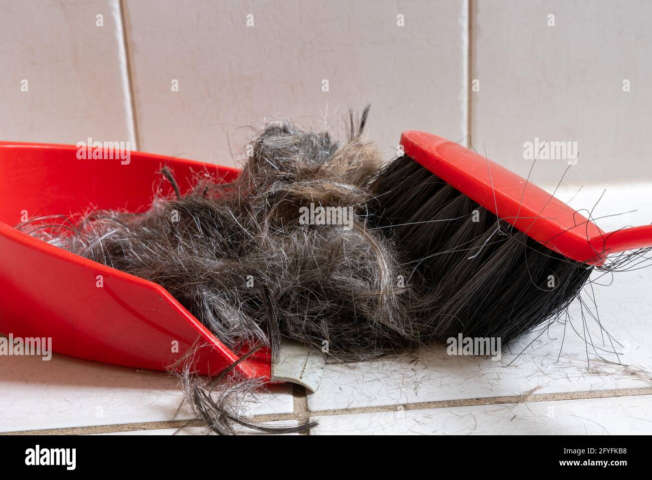 Bürsten Sie Besen mit Kehrschaufel, um menschliches Haar zu reinigen Stockfoto