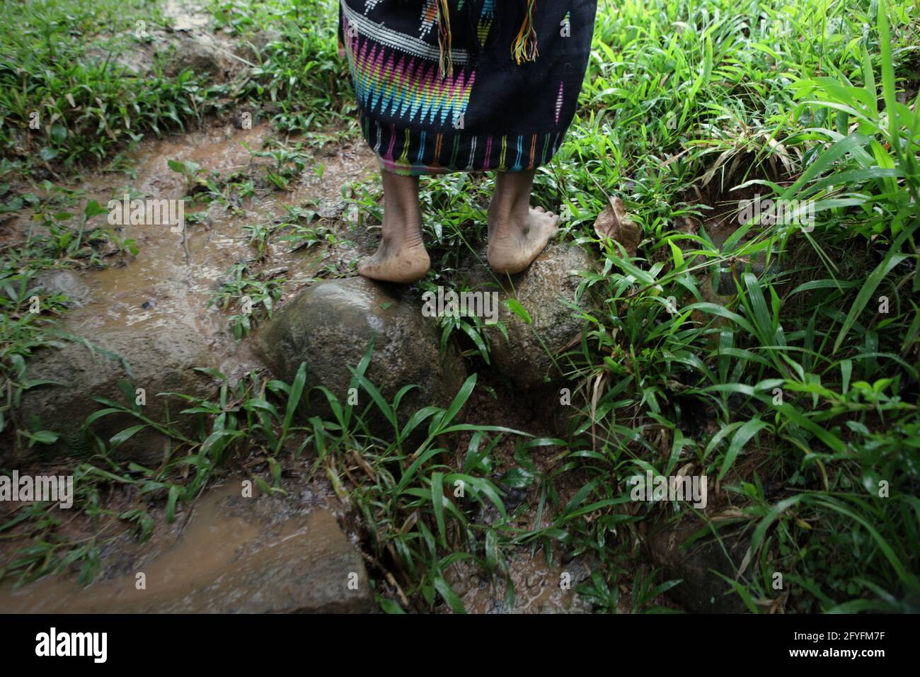Eine Frau in traditionellen „ikkat“-gewebten Textilien, die auf Steinstufen zum Feld geht, bevor sie im Dorf Liang Ndara, Mbeliling, West Manggarai, Flores, East Nusa Tenggara, eine Aufführung von „caci“ (Flores Island's traditioneller Peitschenkampf, Kampfkunst) Indonesien. Stockfoto