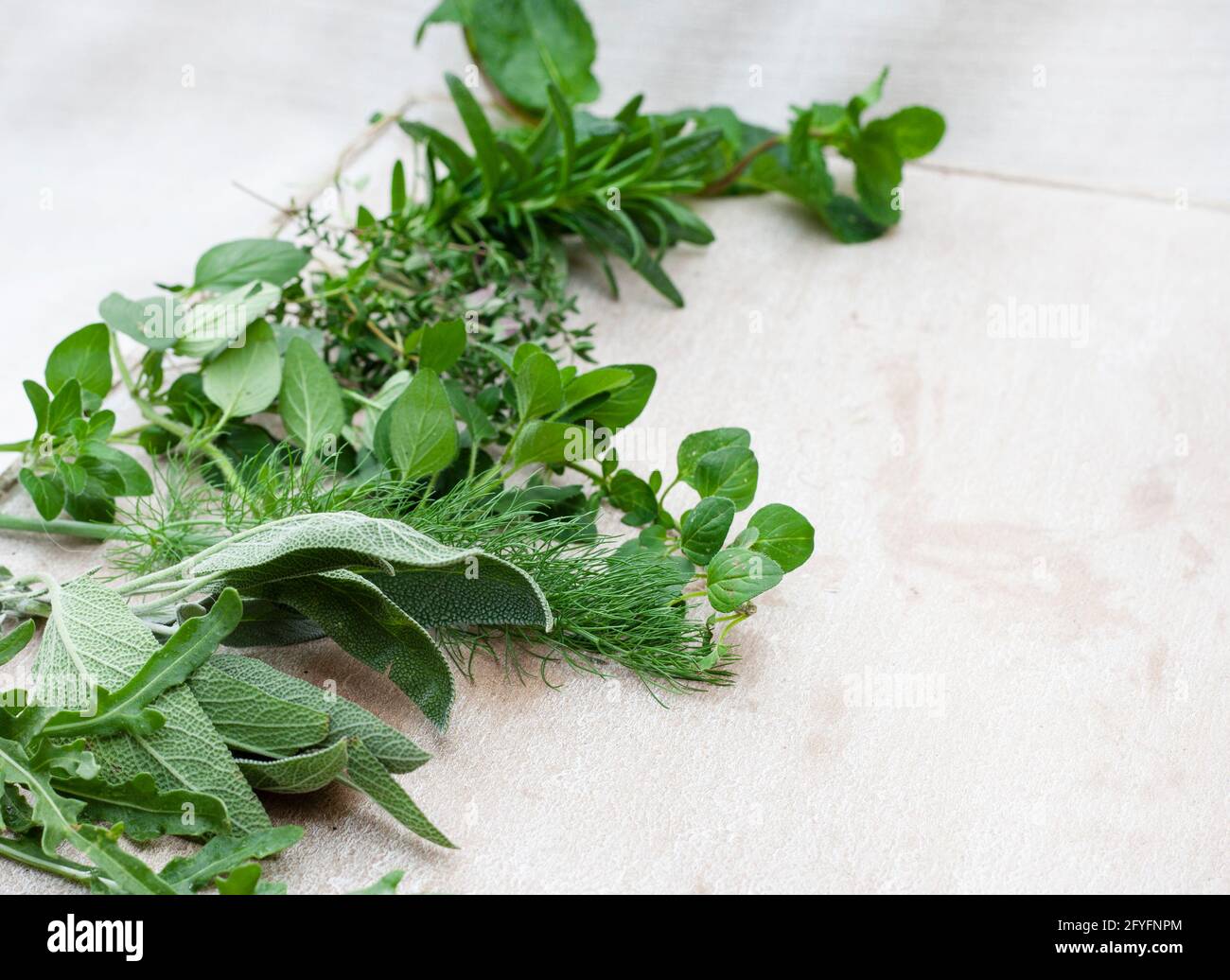 Frische gemischte Kräuter Stockfoto