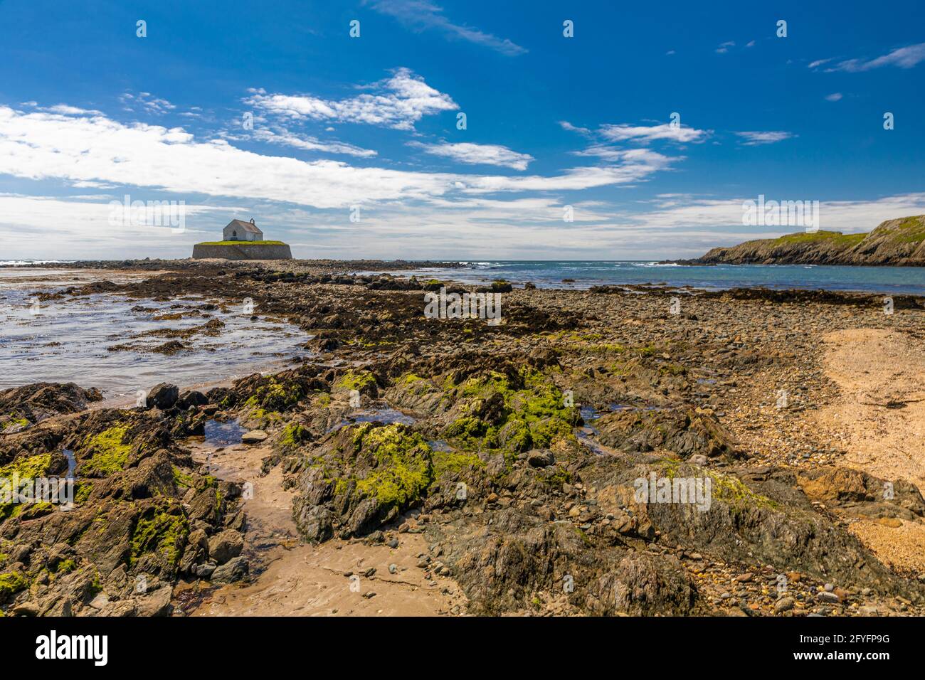 St Cwyfans Church, die kleine Kirche im Meer, bei Ebbe, Llangadwaladr, Anglesey, Wales. Stockfoto