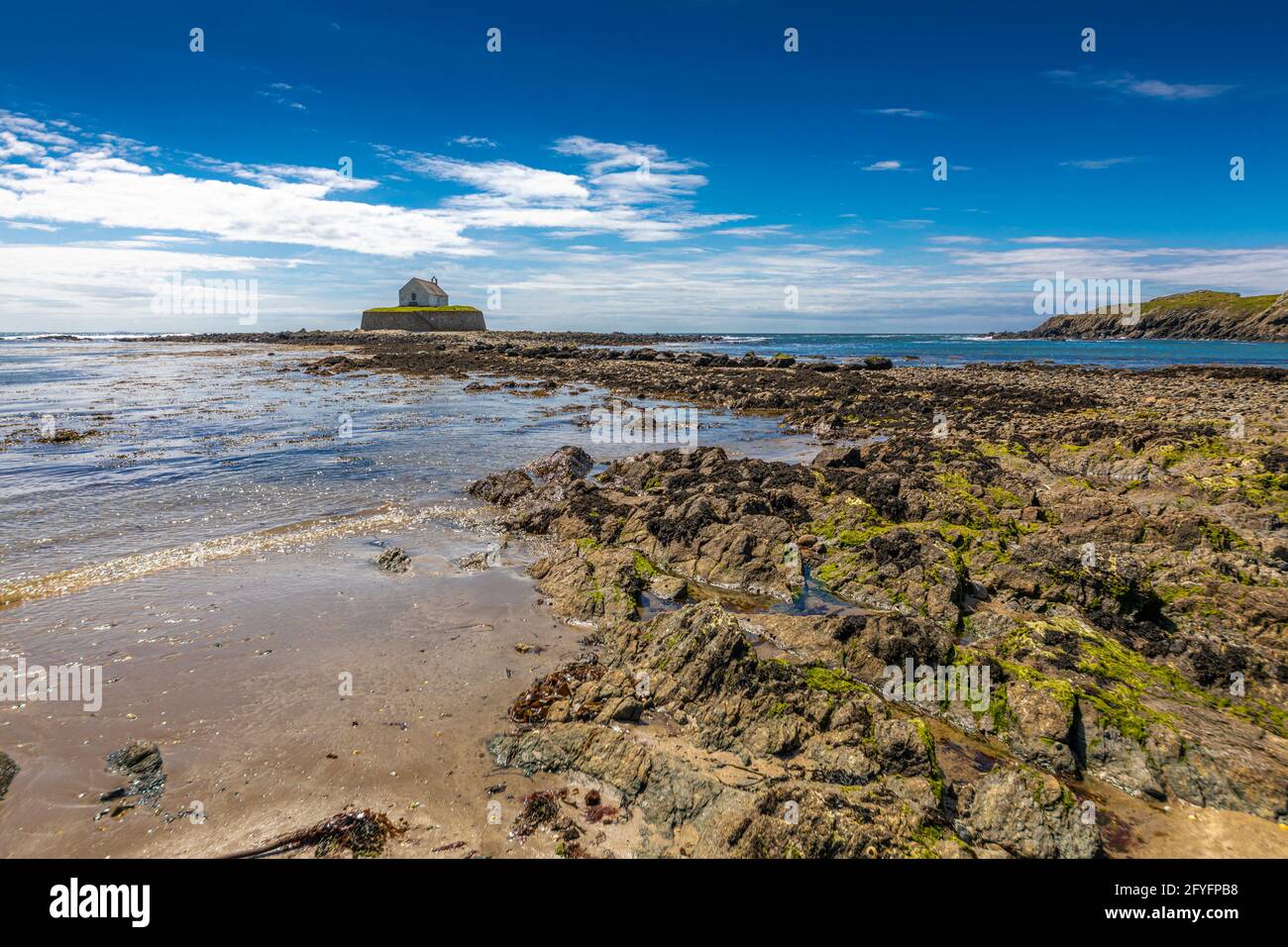 St Cwyfans Church, die kleine Kirche im Meer, bei Ebbe, Llangadwaladr, Anglesey, Wales. Stockfoto