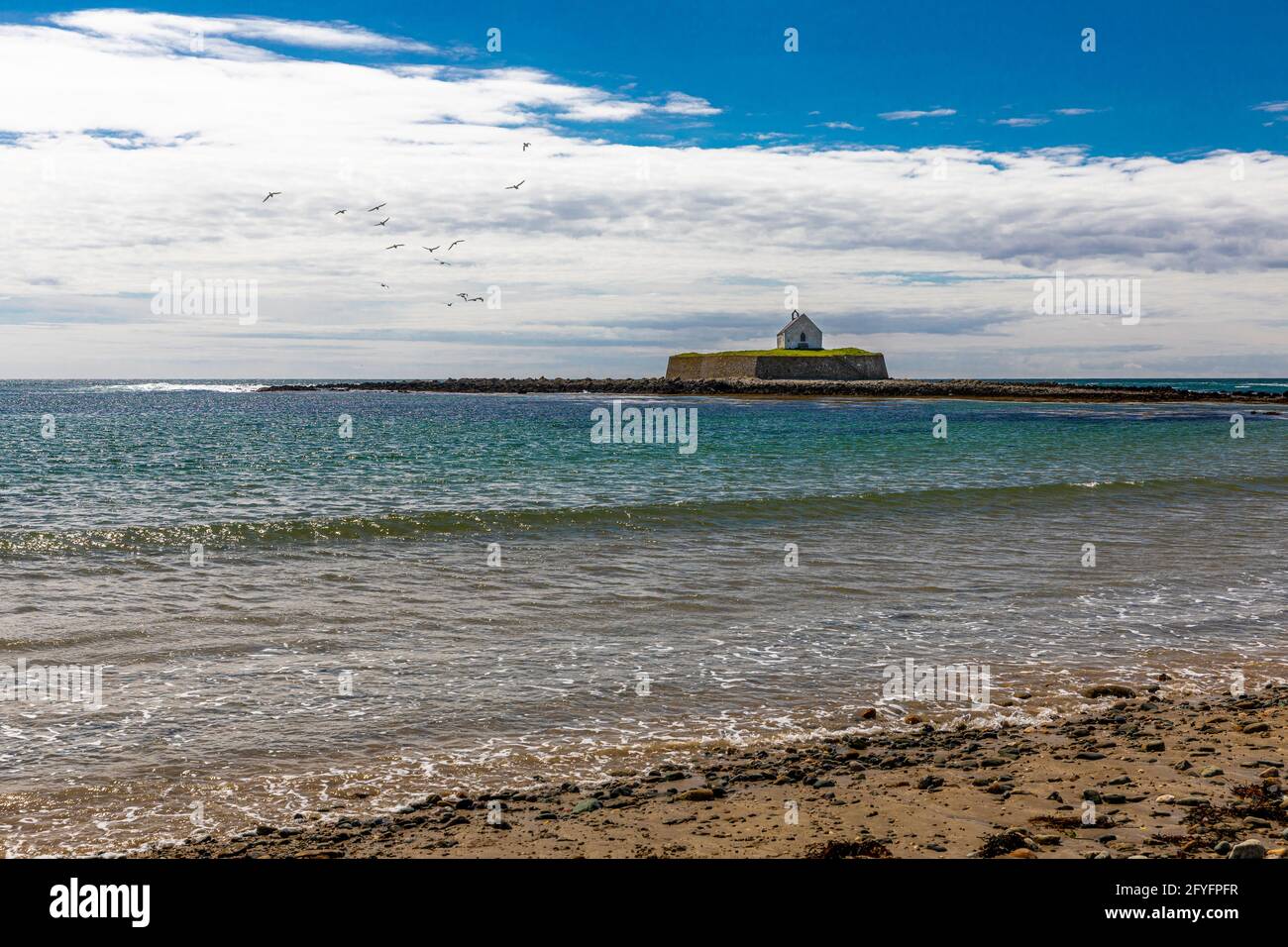 St Cwyfans Church, die kleine Kirche im Meer, bei Ebbe, Llangadwaladr, Anglesey, Wales. Stockfoto