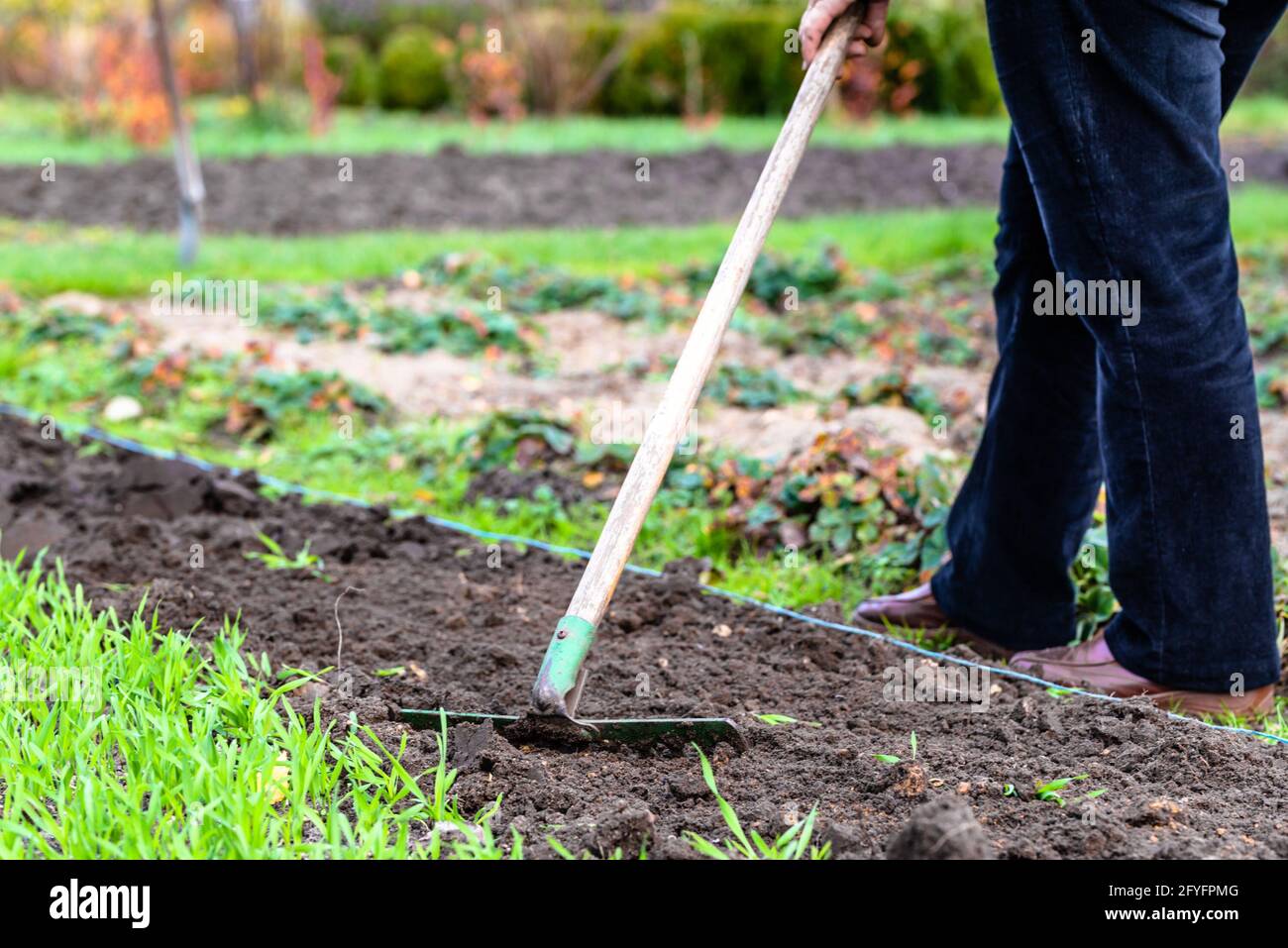 Frau Gärtnerin, die Erde ruckend. Gemüsegarten für die Pflanzung im Frühjahr vorbereiten. Stockfoto