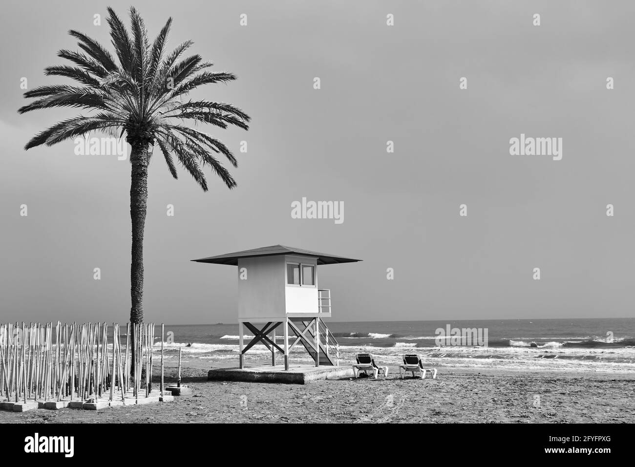 Strand mit Palmen und Rettungsschwimmer Turm am Meer in Nebensaison - Schwarz-Weiß-Fotografie Stockfoto
