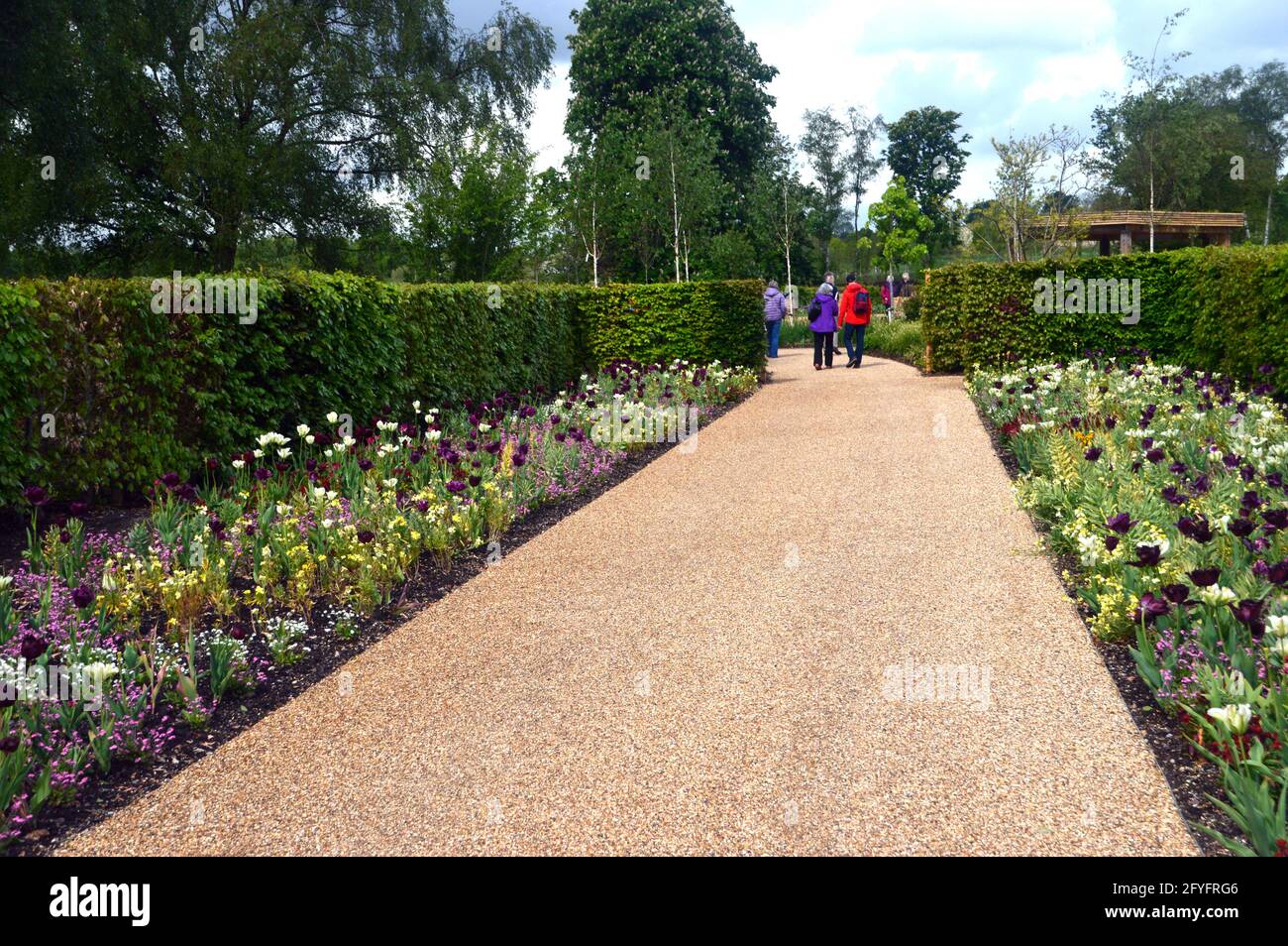 Menschen, die an Blumenbeeten im RHS Garden Bridgewater, Worsley, Manchester, Großbritannien, spazieren. Stockfoto