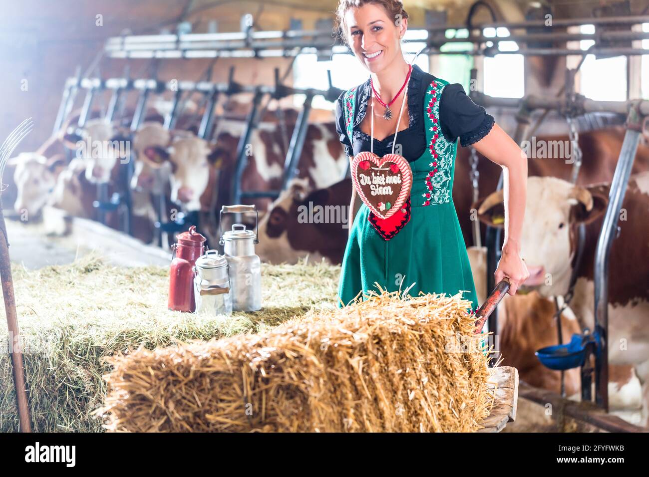 Bayerische Frau fahren Pushcard mit Heuballen und deutsche Lebkuchen durch Kuhstall Stockfoto