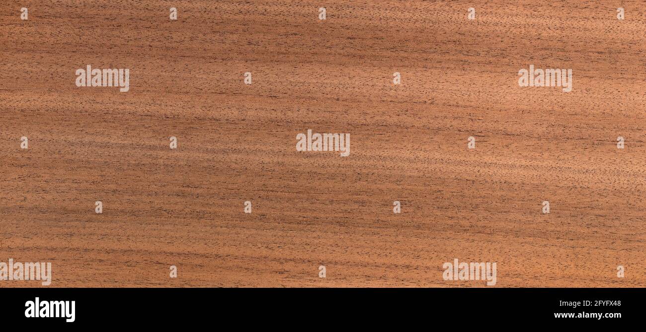 Detail einer natürlichen Holzstruktur, horizontales Format. Stockfoto