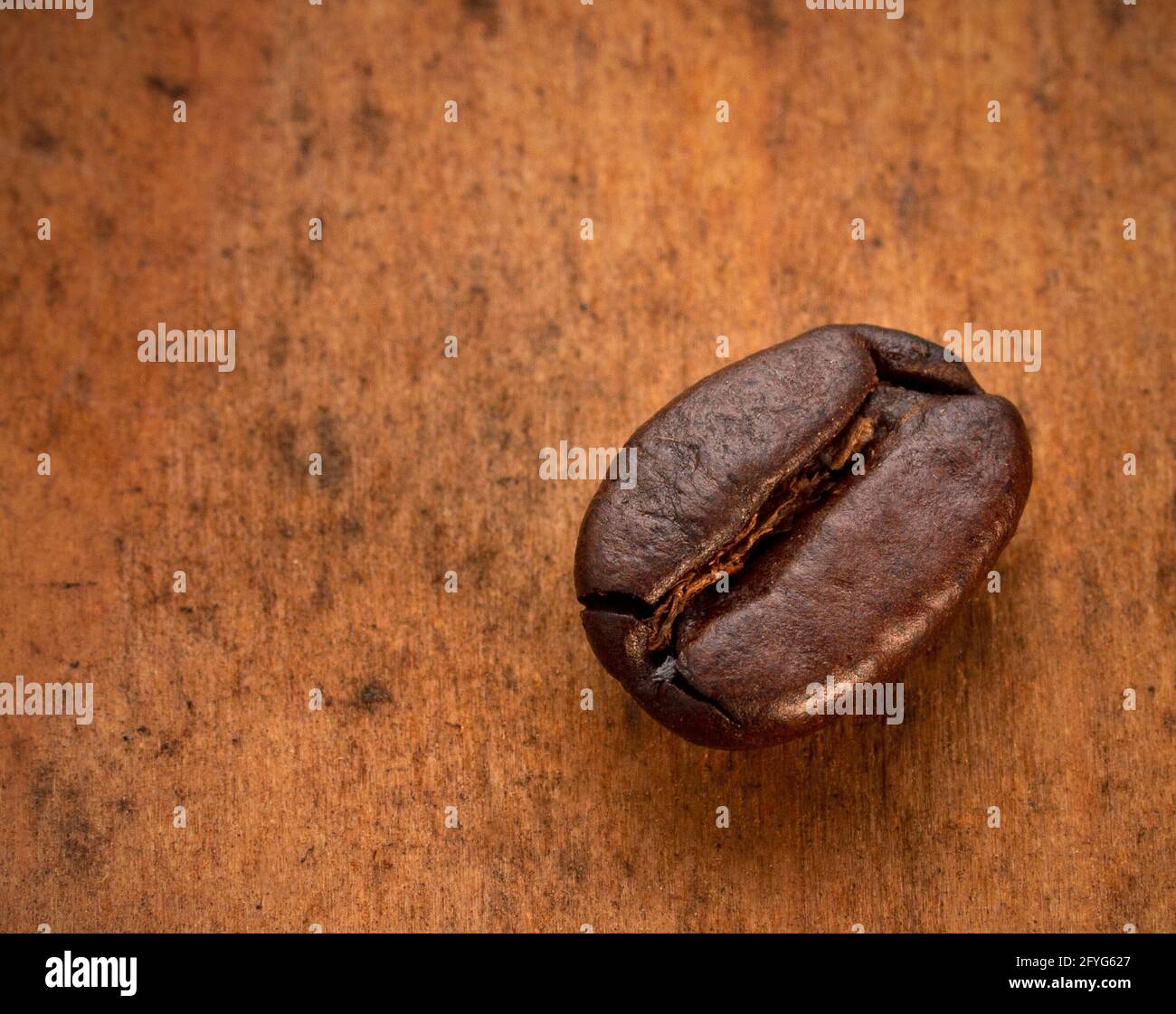 Kaffeebohne in Nahaufnahme isoliert vor einem hölzernen Hintergrund mit Platz für Kopien Stockfoto