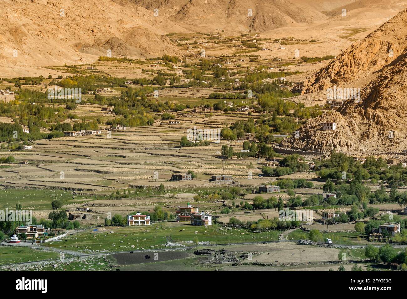 Grüne landwirtschaftliche Flächen zwischen kargen Bergen von Leh, Ladakh - Bild von Changla Pass aufgenommen. Leh, Jammu und Kaschmir, Indien Stockfoto