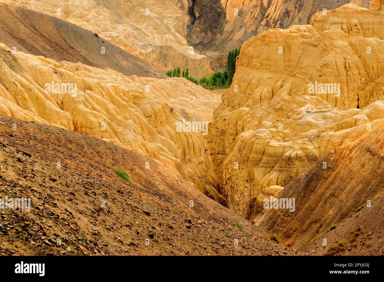 Gelb bunte Felsen und Steine - Bildung wie Mond Oberfläche auf der Erde, Ort genannt Mondland, Berge, ladakh Leh, Jammu und Kaschmir, Indien Stockfoto