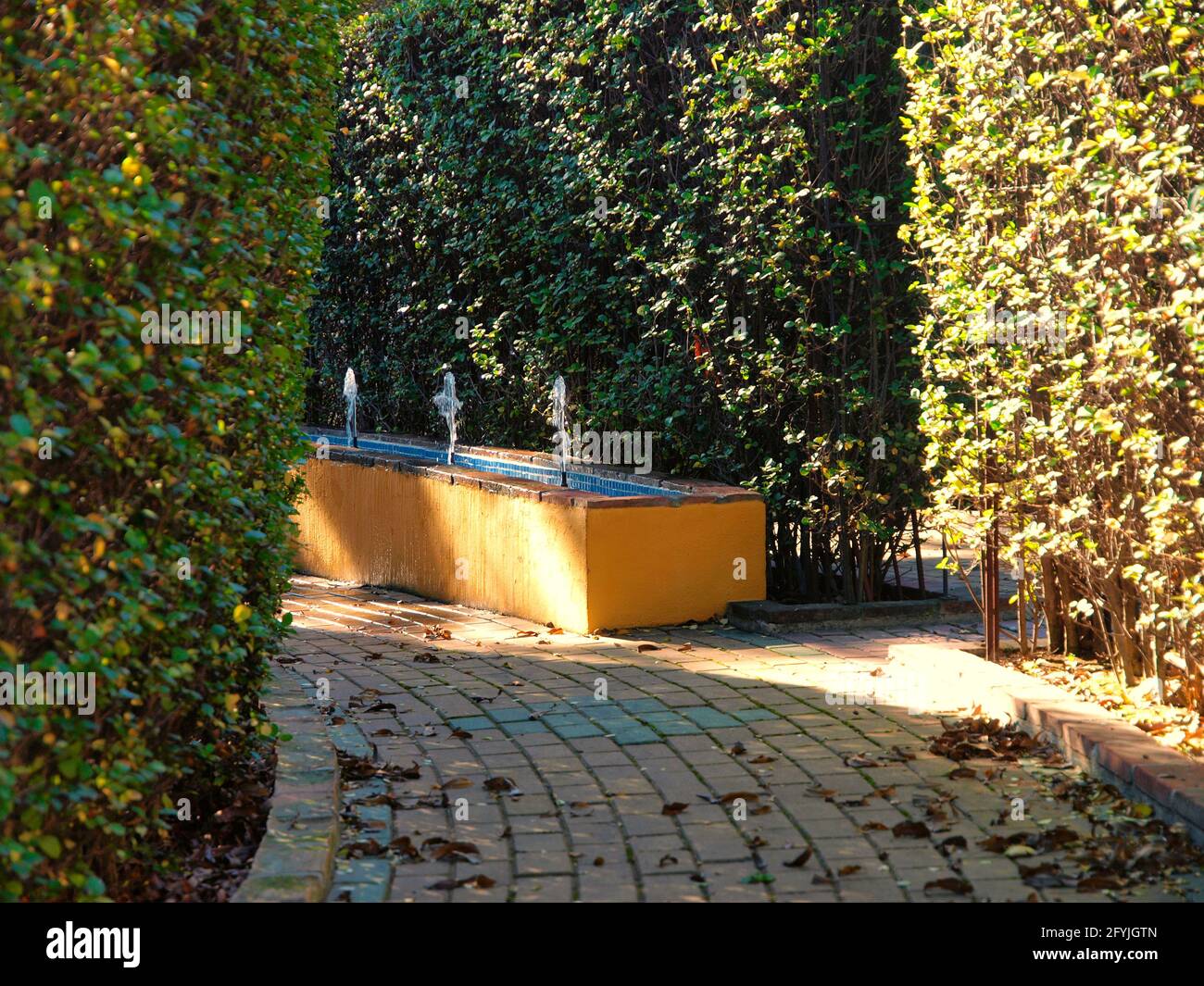 Springbrunnen mit mehreren Wasserstrahlen im Garten Stockfoto