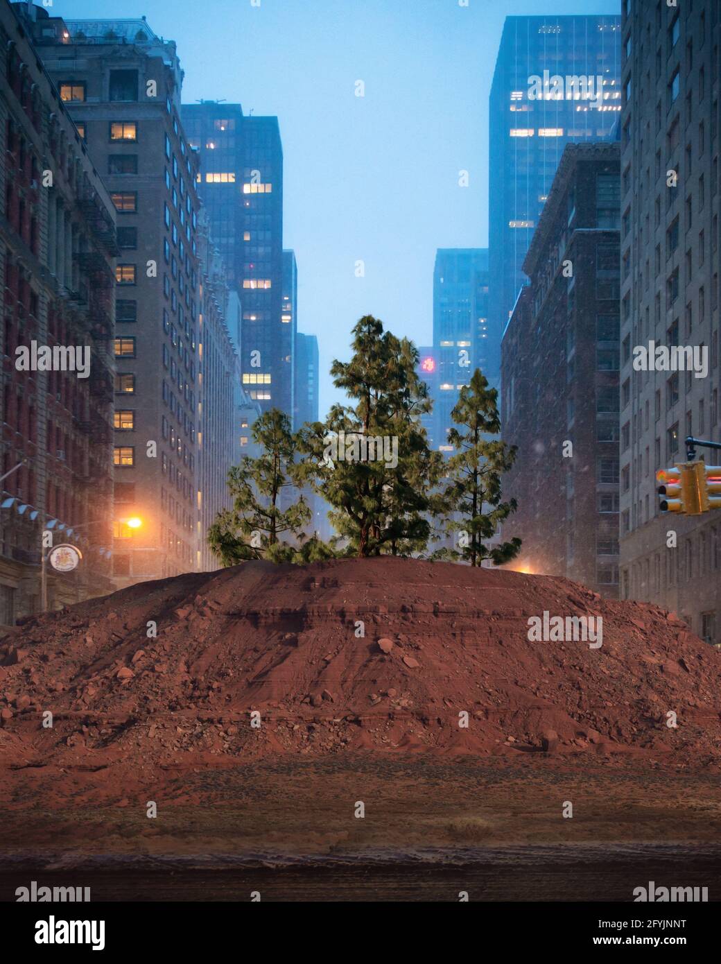 Baum, der in einem Erdhügel inmitten der Straße wächst, Manhattan, New Yorks, USA Stockfoto