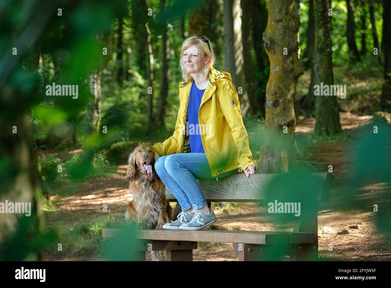 Eine entspannte Frau saß auf einer Bank im Wald mit ihrem Cocker-Spaniel-Hund Stockfoto