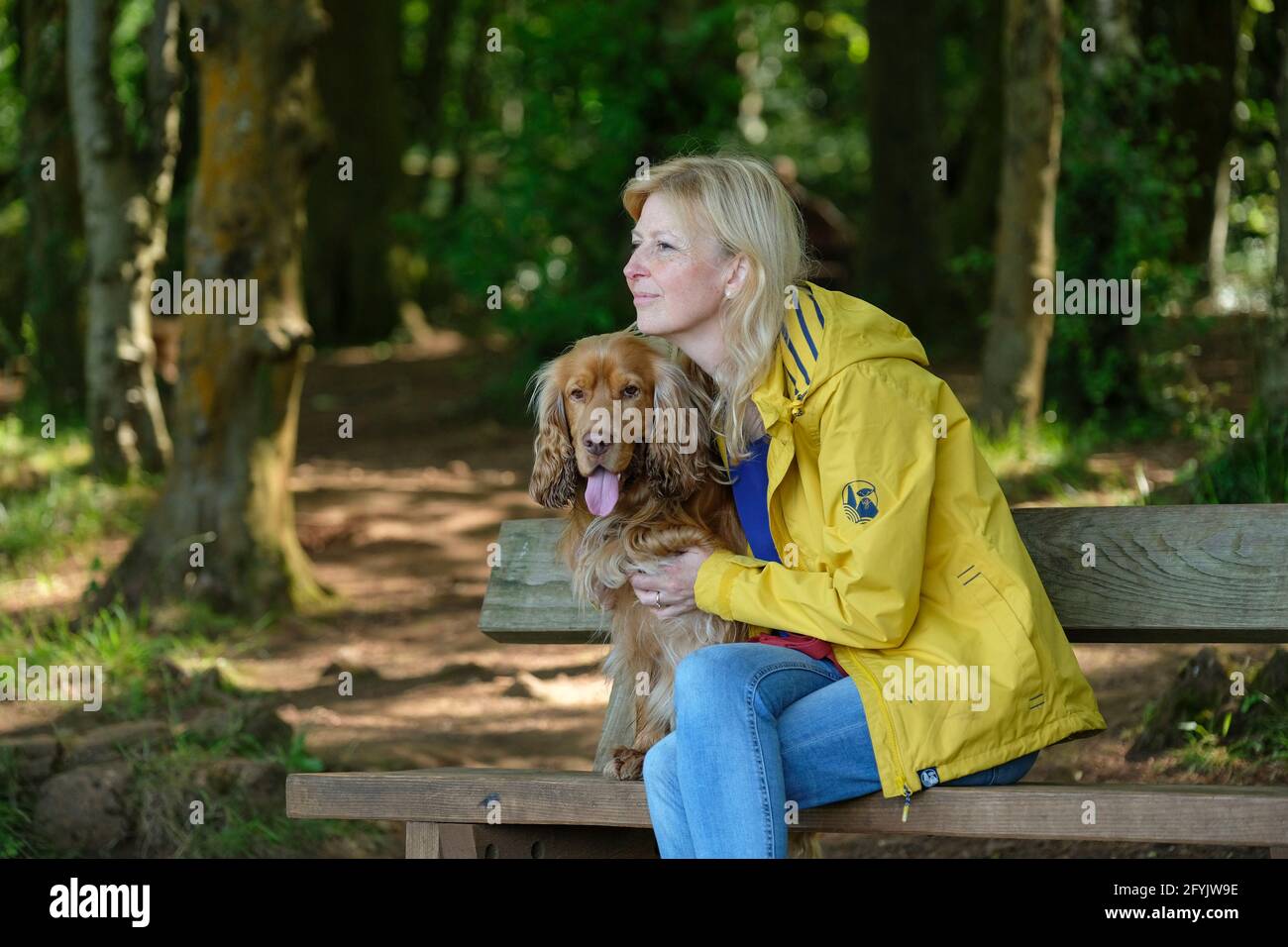 Eine entspannte Frau saß auf einer Bank im Wald mit ihrem Cocker-Spaniel-Hund Stockfoto