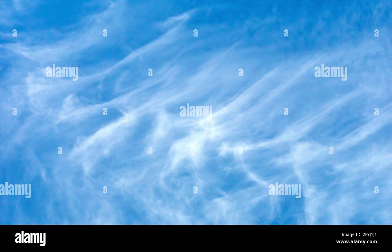 Hohe weiße, wispy Cirrus Wolken verzerrt und gestreckt von starken Winden, die gegen einen blauen Himmel geschossen wurden. Stockfoto