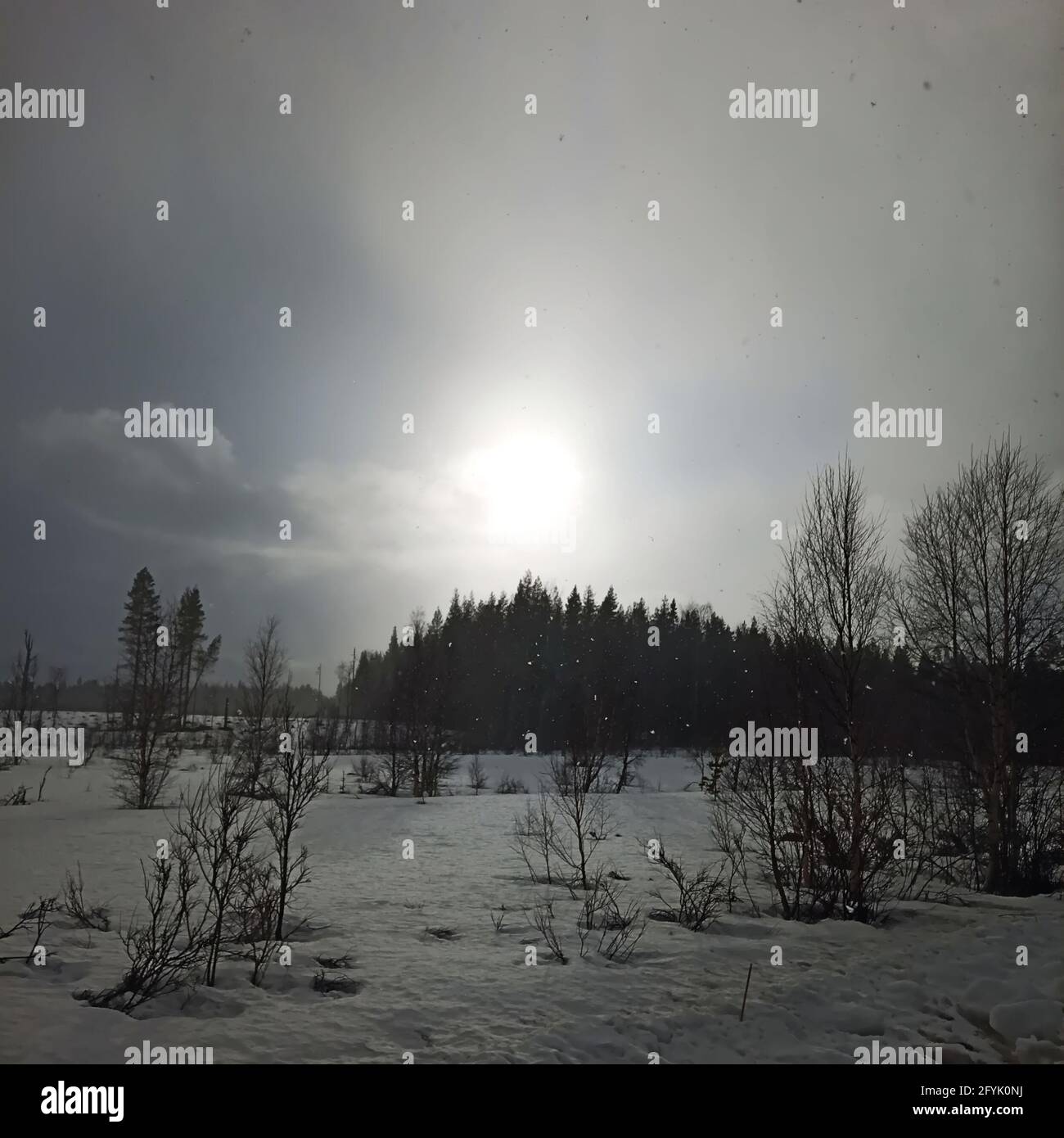 Schneesturm und Sonne im nordschwedischen April. Stockfoto