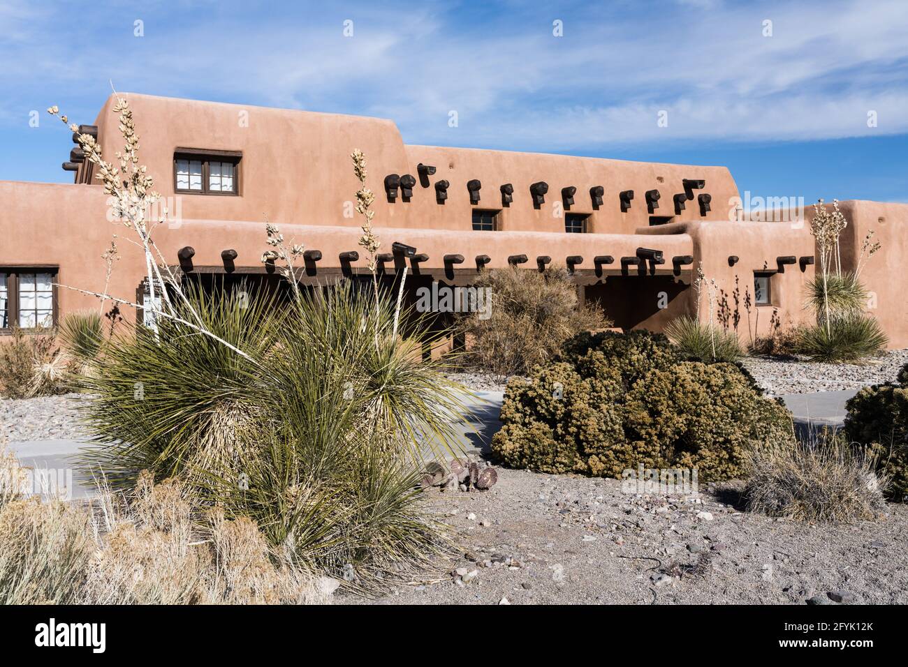 Soaptree Yuccas vor dem Besucherzentrum im White Sands National Park, New Mexico. Stockfoto