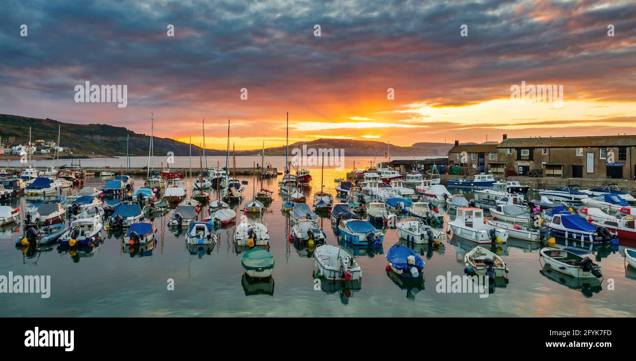 Ein spektakulärer Sonnenaufgang am Lyme Regis Harbour in Dorset. Stockfoto