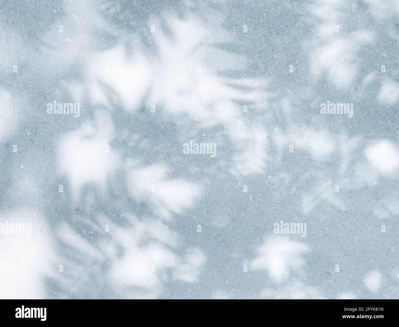 Natürliche Schatten tropischer Blätter im direkten Sonnenlicht an der strukturierten Wand, Überlagerung für Produktfotos oder Präsentationen im Sommer mit Platz für Text Stockfoto