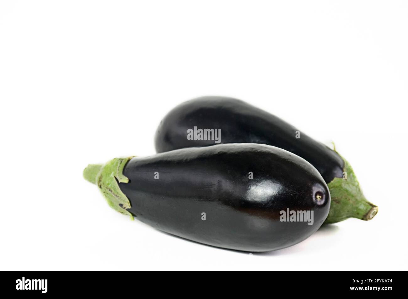 Zwei Auberginen aus dem Bio-Garten von Valencia in Spanien. Stockfoto