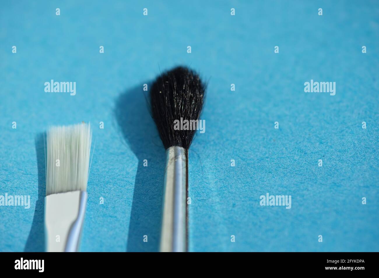 Schwarzer Eichhörnchen-Pinsel und weißer Kunststoff auf blauem Tisch. Stockfoto
